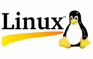 O Pinguim e a Revolução: A História do Linux